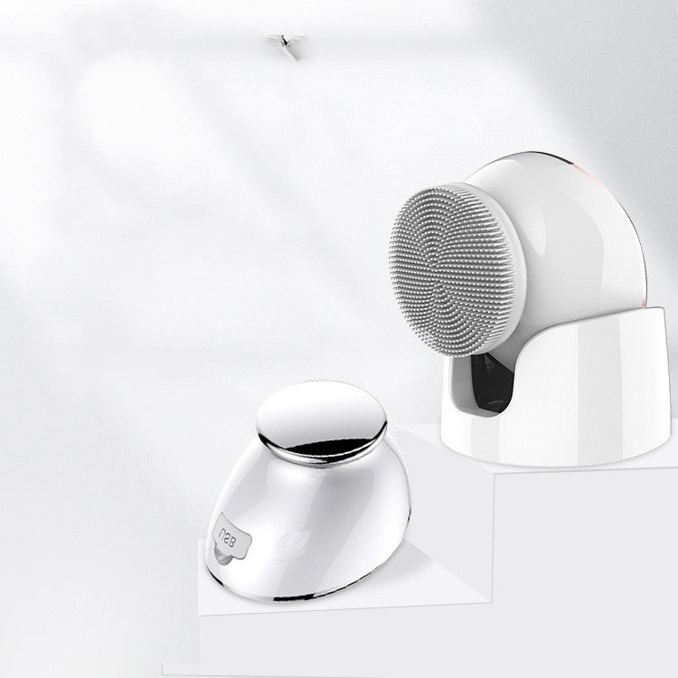 Electric Face Washing Instrument
